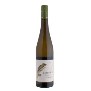 40451124.jpg