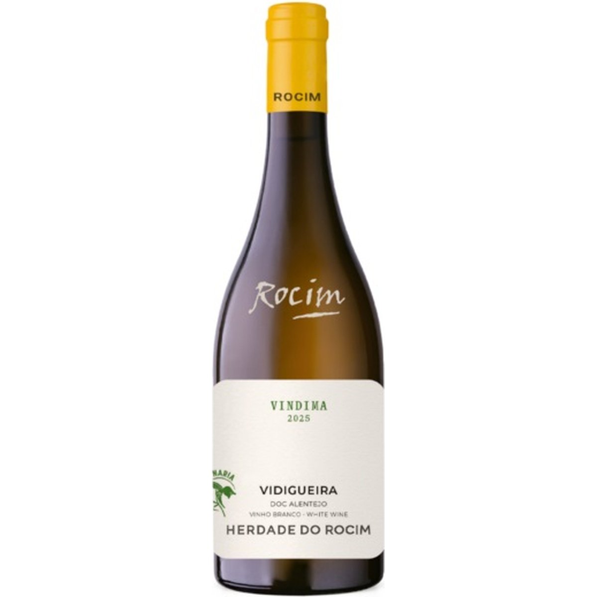 40515125.jpg