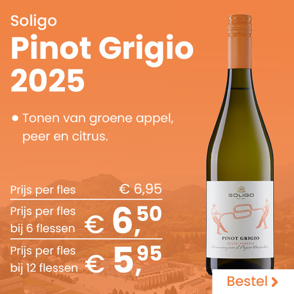 HB-Banner-klein-Soligo-Pinot-Grigio