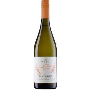 Soligo Pinot Grigio 2025 - Afbeelding 1