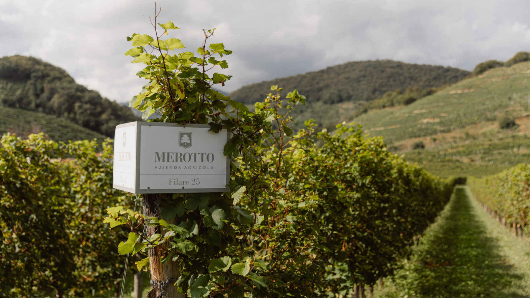 Prosecco Merotto